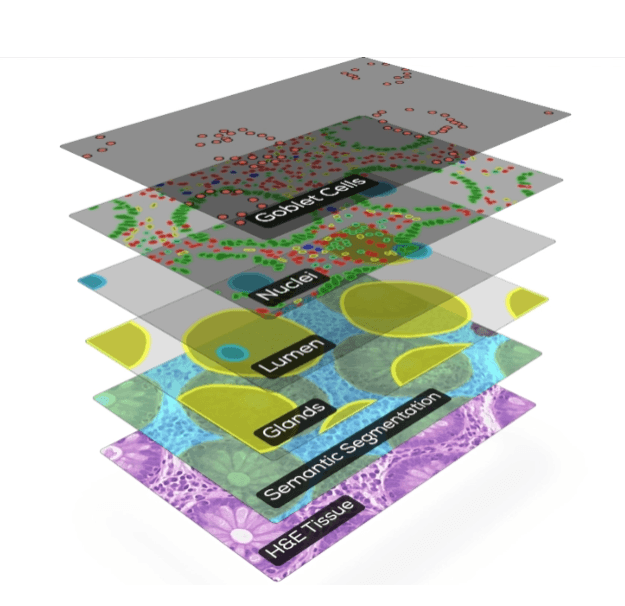 Layers overview