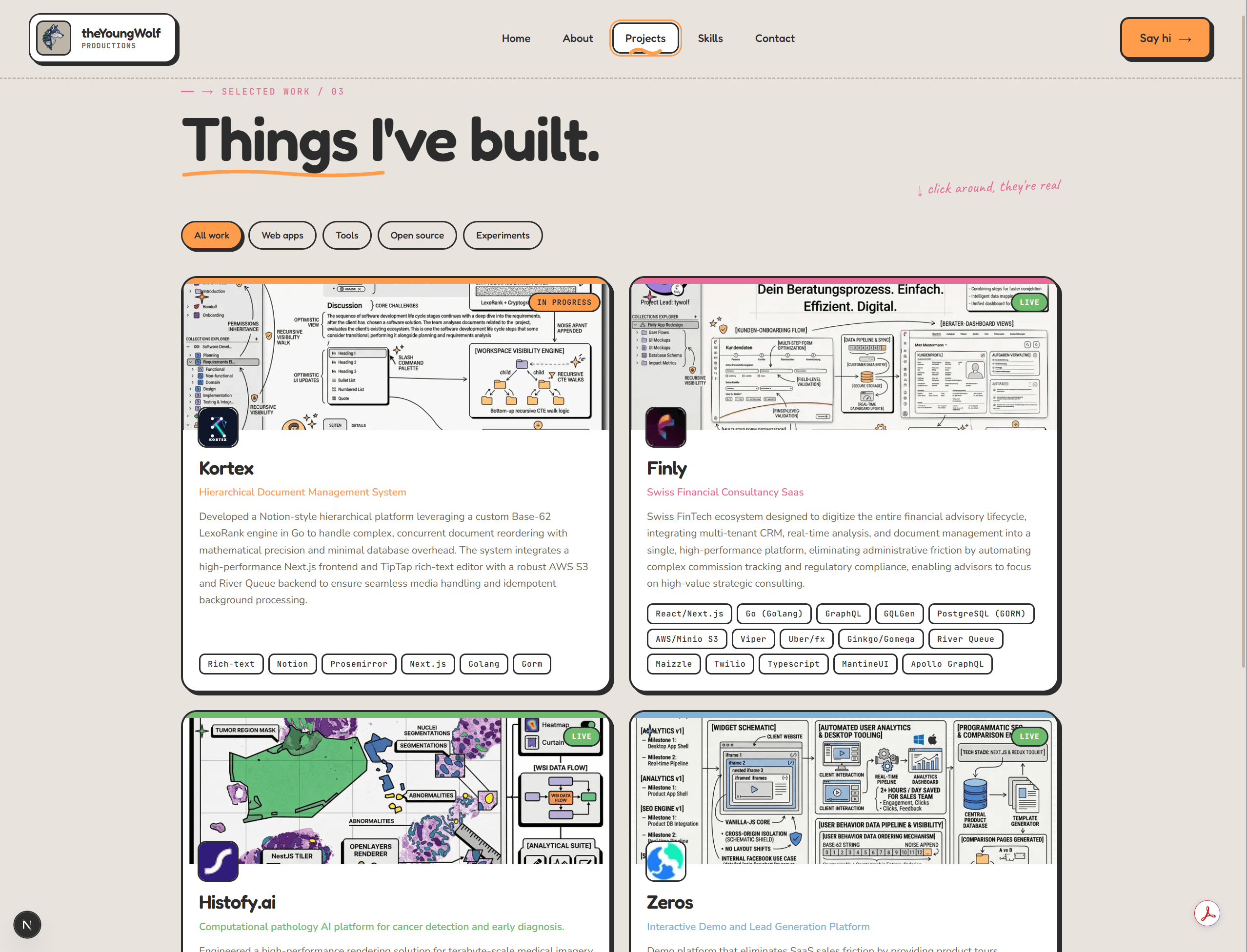 Projects Section